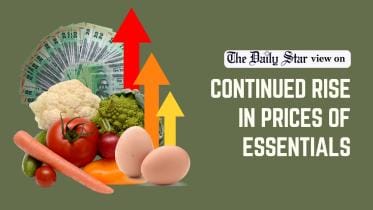 rise in prices of essential goods