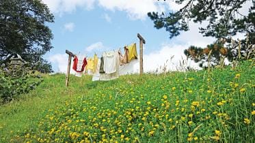 beautiful-shot-newly-washed-clothes.jpg