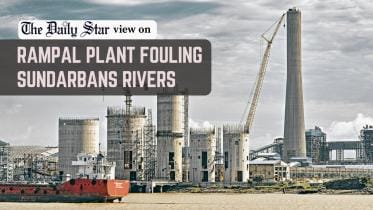 Sundarbans must be protected at all costs