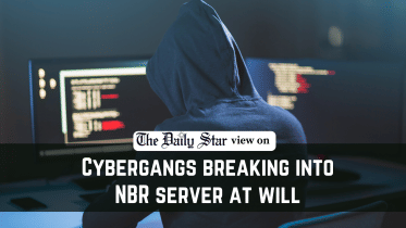 cybergangs breaking into nbr server at will
