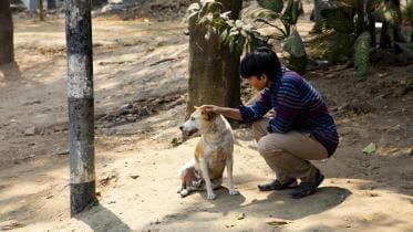 compassion for stray animals