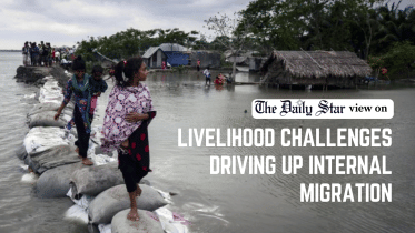 Internal migration Bangladesh.png