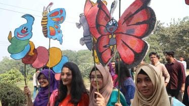 butterfly_fair_9.jpg