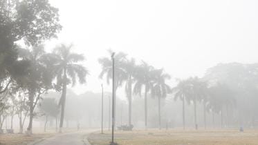 Dust, mosquitoes, dry skin: Dhaka’s real winter dilemmas