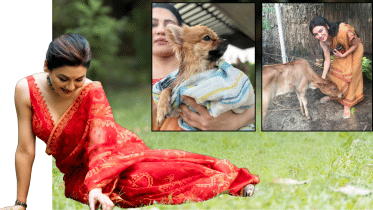 The world isn’t just for humans: Jaya Ahsan’s plea for responsible 31st celebrations.png