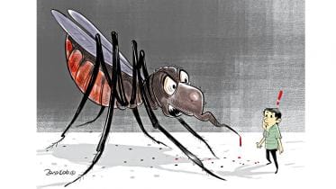 Mosquito problem in Dhaka