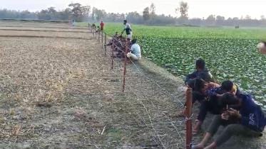 BSF halts fence construction at Dahagram