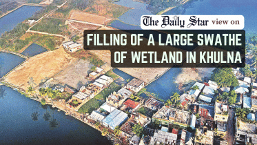 filling of a large swathe of a wetland in Khulna