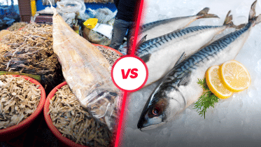 Shutki chronicles: Our love-hate affair with dried fish