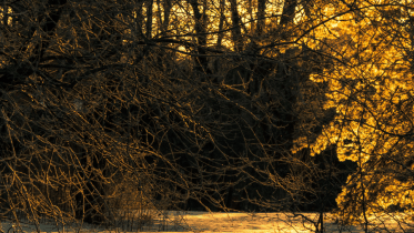 Reserved winter kiss poetry