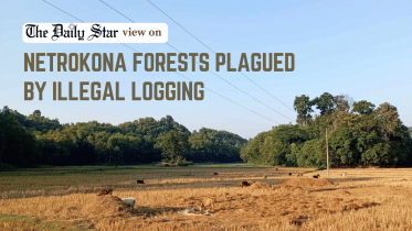 netrokona forests facing illegal logging