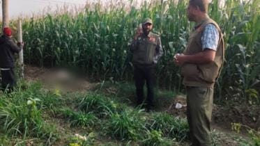 benapole_photo-farmer_accused_of_killing_many_wildlife_by_poisoning_with_food_in_a_corn_field-27.01.25.jpg
