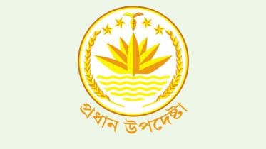 Chief Adviser seal.jpg