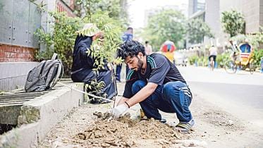 tree-plantation-iub.jpg