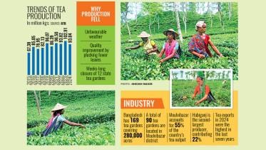 bangladesh-tea-industry.jpg