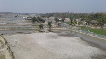 Shrimp farming in the coastal region