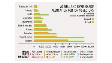 health sector budget cut in ADP 2024-25