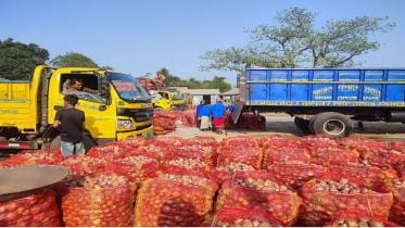 onion farmers struggling with low prices