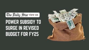 power sector reform in Bangladesh