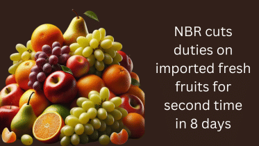 imported_fresh_fruits_to_be_cheaper_as_nbr_halves_source_tax_20250318_111543_0000.png
