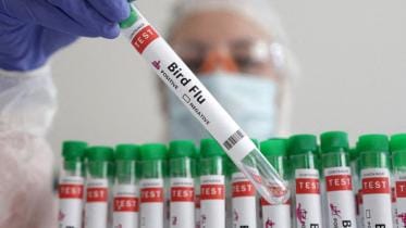 bird flu in Bangladesh