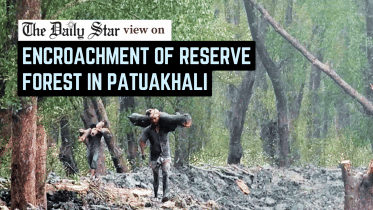 encroachment of reserve forest in patuakhali