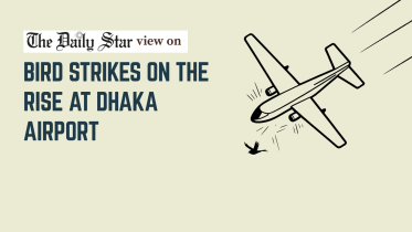 Bird strikes on the rise at Dhaka airport
