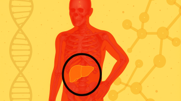 How to reverse fatty liver naturally: Expert-recommended diet tips