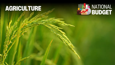 agriculture.jpg