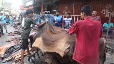 rawhide price drops during eid-ul-azha 2025