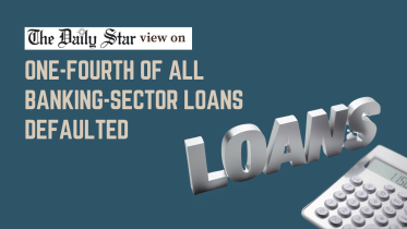 one-fourth of all banking-sector loans defaulted
