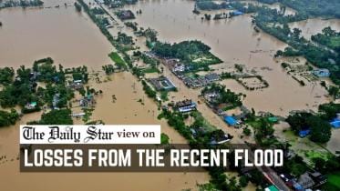 Feni_flood_and_crop_damage
