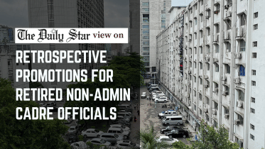 retrospective promotions for retired non-admin cadre officials
