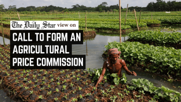 call_to_form_an_agricultural_price_commission.png