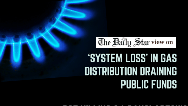 system loss in gas distribution draining public funds