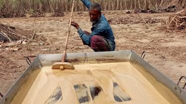 mymensingh handmade laal chini gets GI recognition