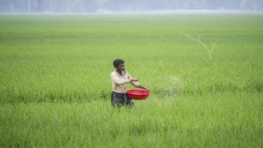 farmers paying high price for tsp fertiliser