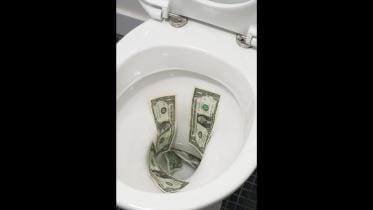 toilet-money