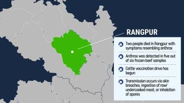 rangpur-anthrax-stat.jpg