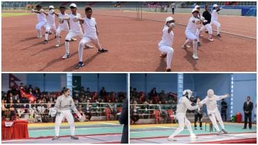 fencing_collage.jpg