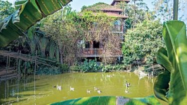 slow living lifestyle benefits