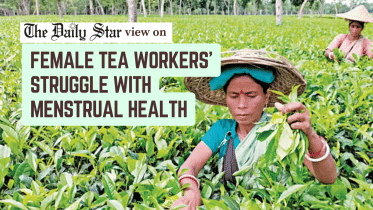 women_tea_workers_struggle_with_menstrual_health.png