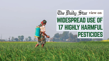 harmful pesticide in Bangladesh vegetables
