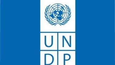 undp.jpg