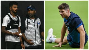 Kiwis preview fresh.jpg