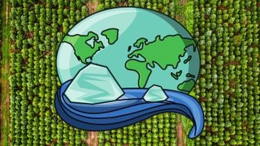 tree planting feature_9ae9.jpg