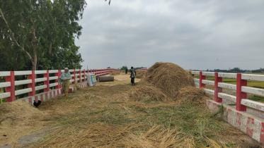 approach road jamalpur.jpg
