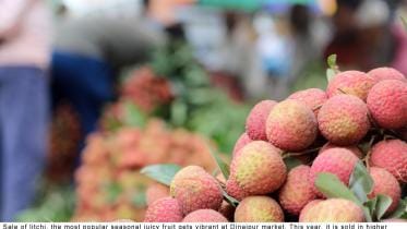 litchi Dinajpur 