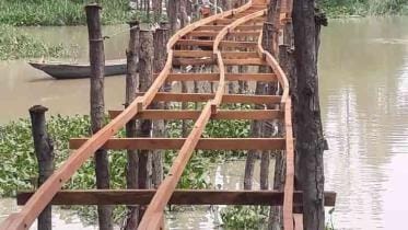 Two bridges by them for them_1C.jpg