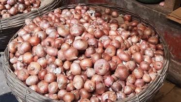 Govt removes onion import duties